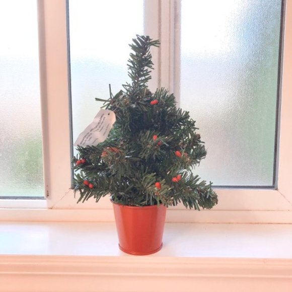 🎄 NEW Christmas Tree in a Pot (12 inch) - Picture 1 of 5